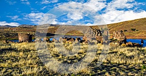 Lagarto chullpa, the most famous Sillustani tomb -peru 49