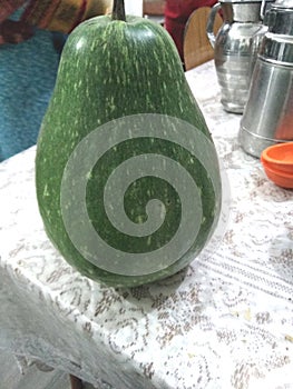 Lagenaria siceraria fruit, Bottle gourd cultivar with nearly pyriform dark green spotted fruits