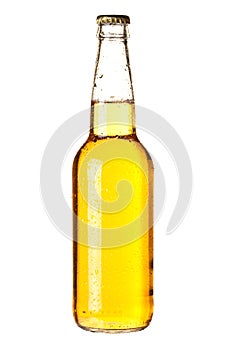 Lager beer in bottle