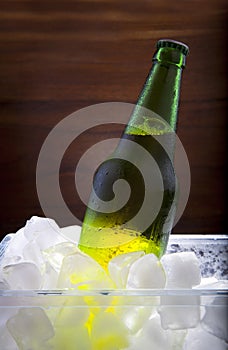 Lager beer in ice cooler