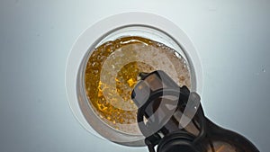 Lager beer pouring glass closeup. Alcoholic hoppy liquid jet filling goblet