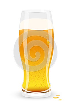 Lager beer. Vector illustration.