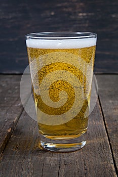 lager draft beer in a glass