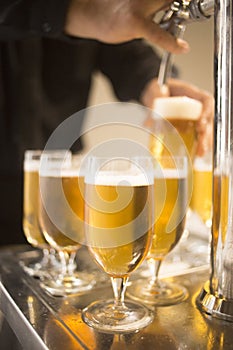 Lager draft beer glasses pump in restaurant bar