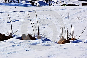 Laggio di Cadore, beautiful Dolomiti mountains, detail, Italy