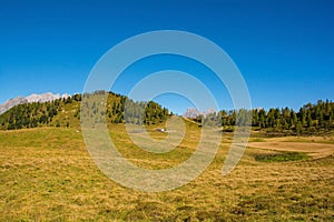 Laghi di Festons Alpine Meadow, Italy