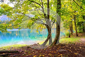 Laghi di Fusine inferior lake, Tarvisio, Italy. Autumn landscape with water, forest and Mangart mountain, nature travel background