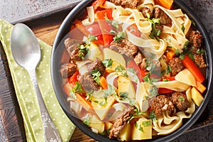 Lagman or Laghman thick Warming Beef Soup with homemade noodles and vegetables closeup on the plate. Horizontal top view