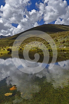 Lago andino with mountains photo