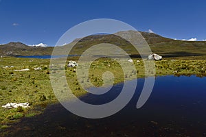 Lago andino with mountains photo