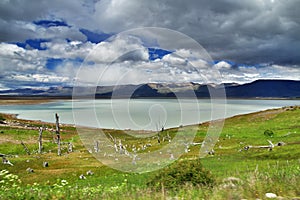 Lago argentino lake in El Calafate, Patagonia, Argentina