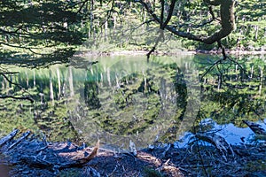 Lago Chico lake in National Park Huerquehue