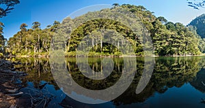 Lago Chico lake in National Park Huerquehue