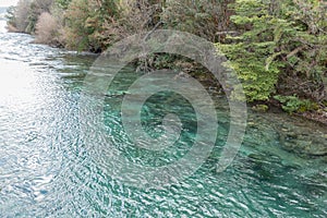 Lago Correntoso in Neuquen Province, Argentina photo