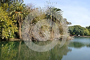 Lago de Palermo, Buenos Aires, Argentina photo