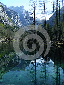 lago di acqua verde trasparente con alberi riflessi