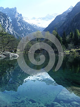 lago di acqua verde trasparente con alberi riflessi