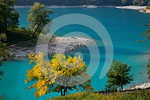 Lago di Tenno with its clear turquoise water and a yellow mulberry in its autumn color. Trentino, Italy
