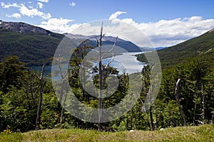 Lago Escondido, Patagonia Argentina