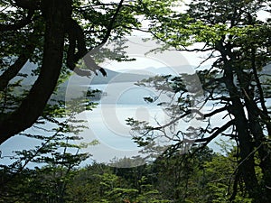 Lago escondido trough the tree photo