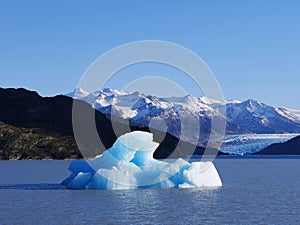 Lago Grey Iceberg photo