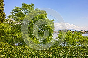 Lago Maggiore, Stresa lake landscape, Italy, Lombardy