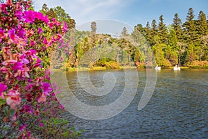 Lago Negro Black Lake with Swan Pedal Boat , Gramado, Rio Grande do Sul, Brazil photo