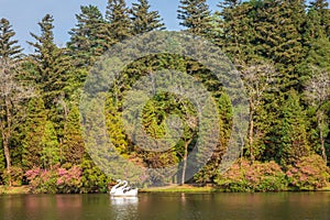 Lago Negro Black Lake with Swan Pedal Boat , Gramado, Rio Grande do Sul, Brazil photo