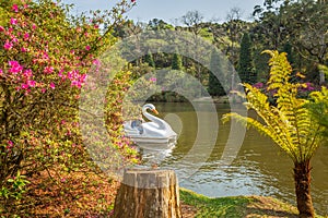 Lago Negro Black Lake with Swan Pedal Boat , Gramado, Rio Grande do Sul, Brazil photo