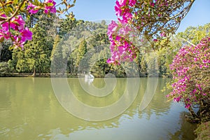 Lago Negro Black Lake with Swan Pedal Boat, Gramado, Rio Grande do Sul, Brazil photo