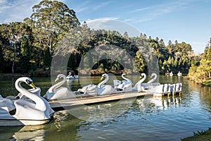 Lago Negro Black Lake with Swan Pedal Boats - Gramado, Rio Grande do Sul, Brazil photo