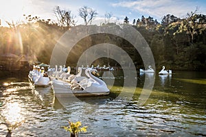 Lago Negro Black Lake with Swan Pedal Boats - Gramado, Rio Grande do Sul, Brazil photo