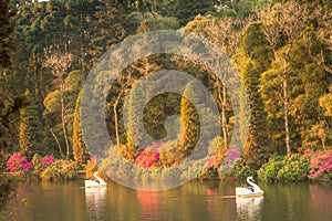 Lago Negro, Black Lake, and Swan Pedal Boats, Gramado, Rio Grande do Sul, Brazil photo