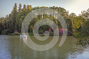 Lago Negro Black Lake with Swan Pedal Boat - Gramado, Rio Grande do Sul, Brazil photo