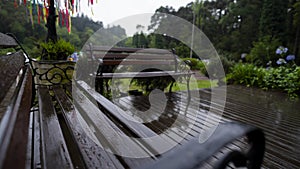 Lago Negro Tourist Attraction in the city of Gramado