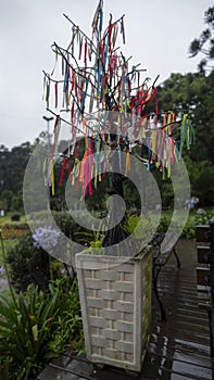 Lago Negro Tourist Attraction in the city of Gramado