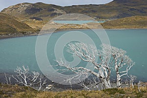 Lago Nordenskjold, Torres del Paine National Park, Chile