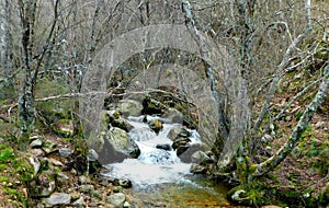 Lago river in the Cabrera in LeÃ³n photo