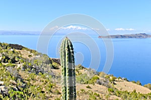 Lago Titicaca photo