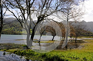 Lagoa azul  das Sete Cidades photo