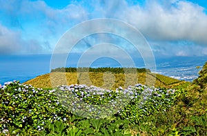 Lagoa de Pau Pique, SÃÂ£o Miguel Island, Azores, AÃÂ§ores, Portugal, Europe photo