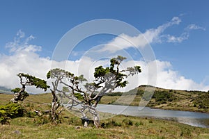 Lagoa do Capitao photo