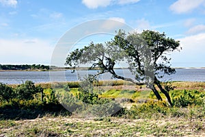 Lagoa Santo Andre in Alentejo, Portugal