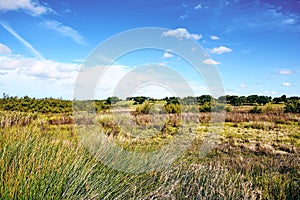 Lagoa Santo Andre in Alentejo, Portugal