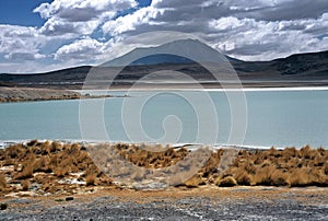 Lagoon on Altiplano in Bolivia,Bolivia photo