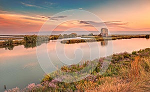 Lagoon of Comacchio, Ferrara, Italy