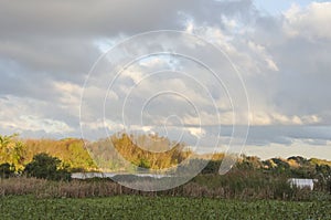 Costanera Sur Ecological Reserve, in Buenos Aires, Argentina, at sunset photo