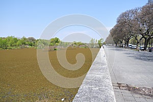 Lagoon of the Costanera Sur Ecological Reserve and the promenade next to it photo
