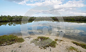 Lagoon with flamings in Bachas beach