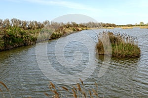 Lagoon green dams at nature oasis, Volano, Italy